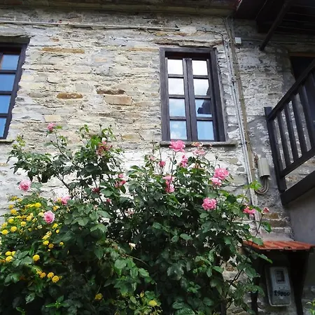 Luxury Stone Villa In Nikiti Νικήτη